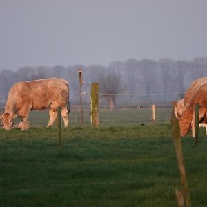 B&B Bij Bronckhorst